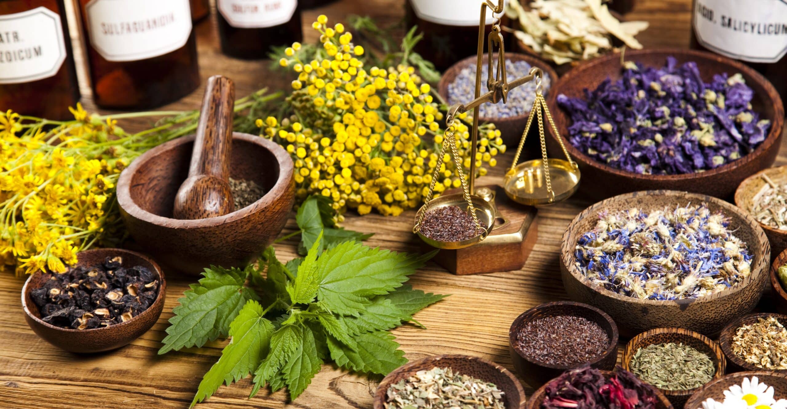 A Few Herbs And Spices With Potent Prevention Profiles