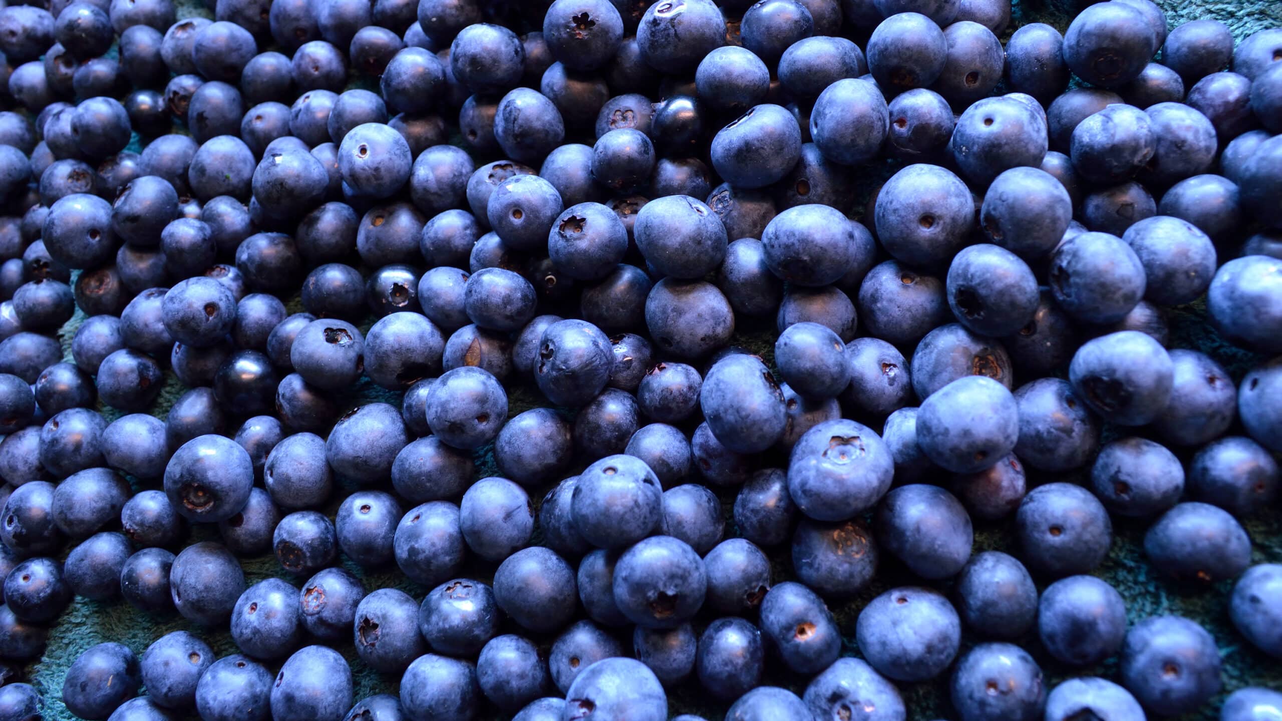 Beneficial Blueberries: Worth Eating Every Day